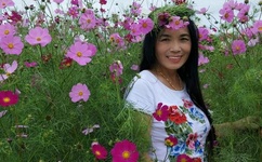 樱井莉亚内涵图